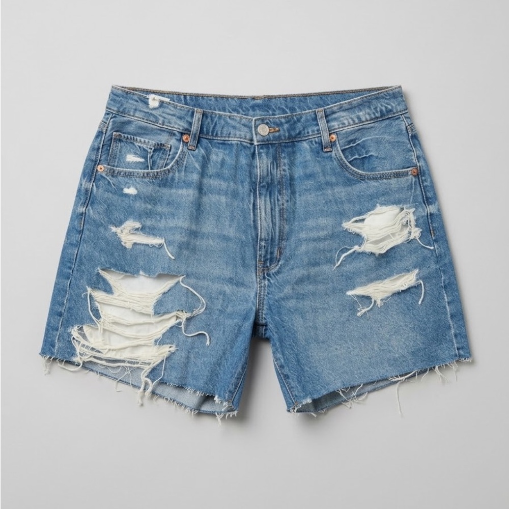 American Eagle Outfitters Light Wash Distressed Denim Shorts